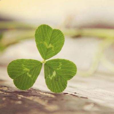 雷泽体育官方入口