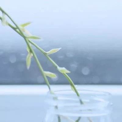 PG电子游戏下载